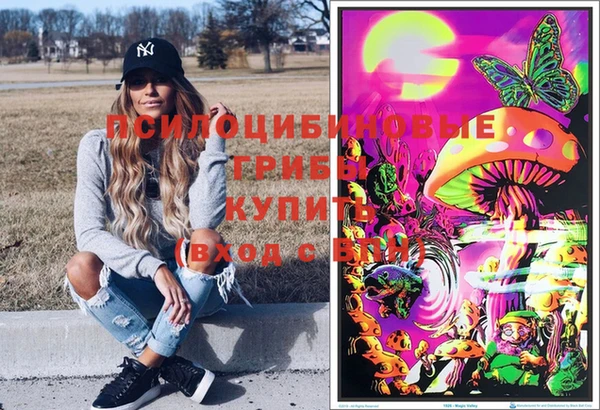 амф Алексин