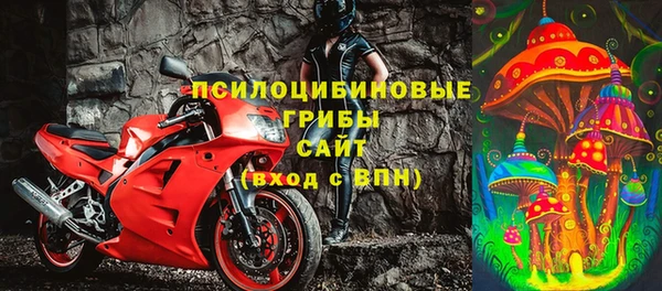 амф Алексин