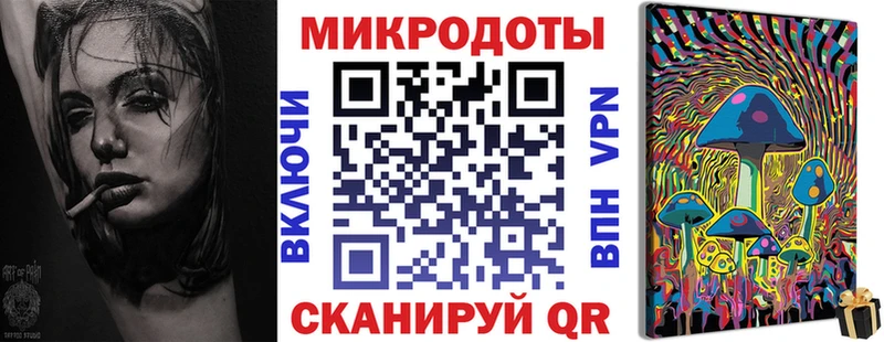 где купить наркоту блэк спрут Галлюциногенные грибы прущие грибы Гаджиево
